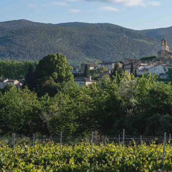 video mettant en scene le bijou artisanal grappe de raisin en émail sur argent, réalisé par maison calub en Provence. Made in France