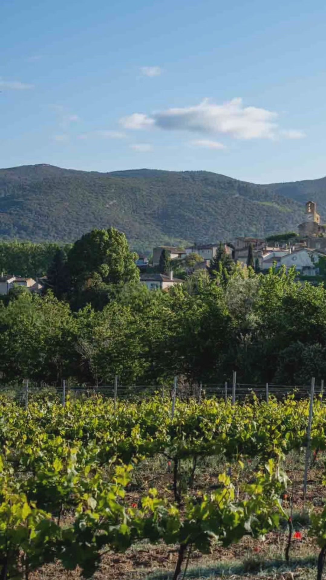 video mettant en scene le bijou artisanal grappe de raisin en émail sur argent, réalisé par maison calub en Provence. Made in France